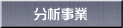 分析事業